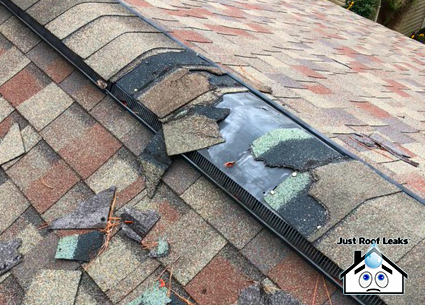 Austin Roofing Repair